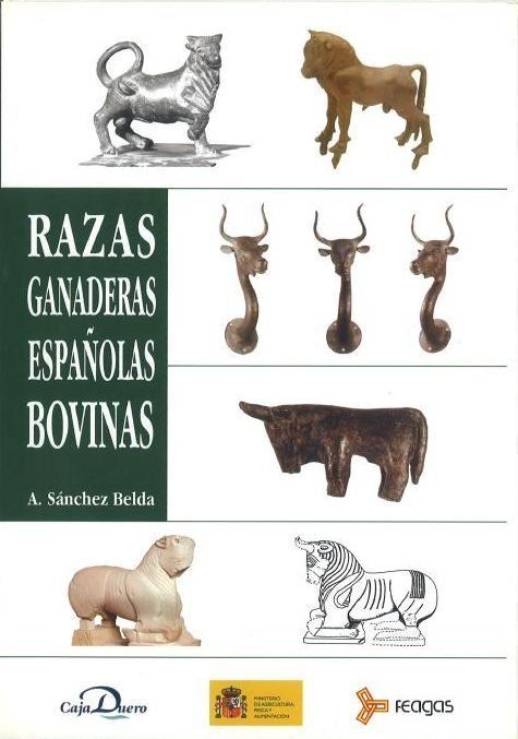 Razas-ganaderas-bovinas-españolas
