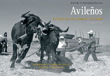 avileños-jesusm-sanchidrian