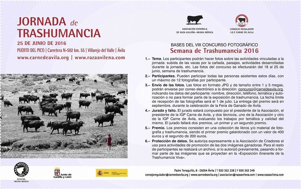 bases-concurso-fotografico-trashumancia-Carnedeavila