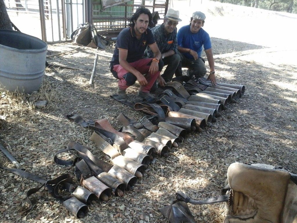 ganaderos-trashumantes-carne-avila