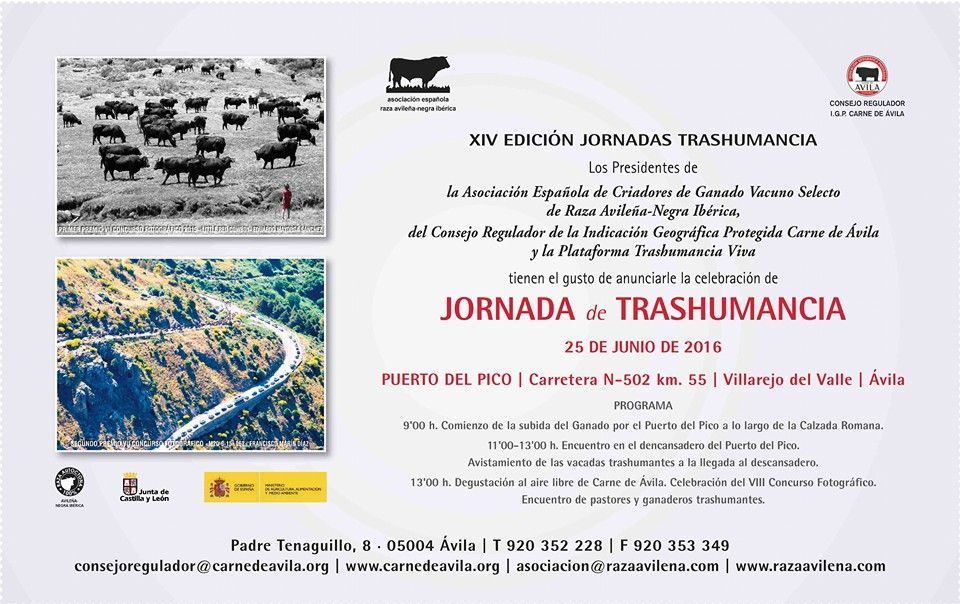 invitación-jornadas-trashumancia-raza-avileña