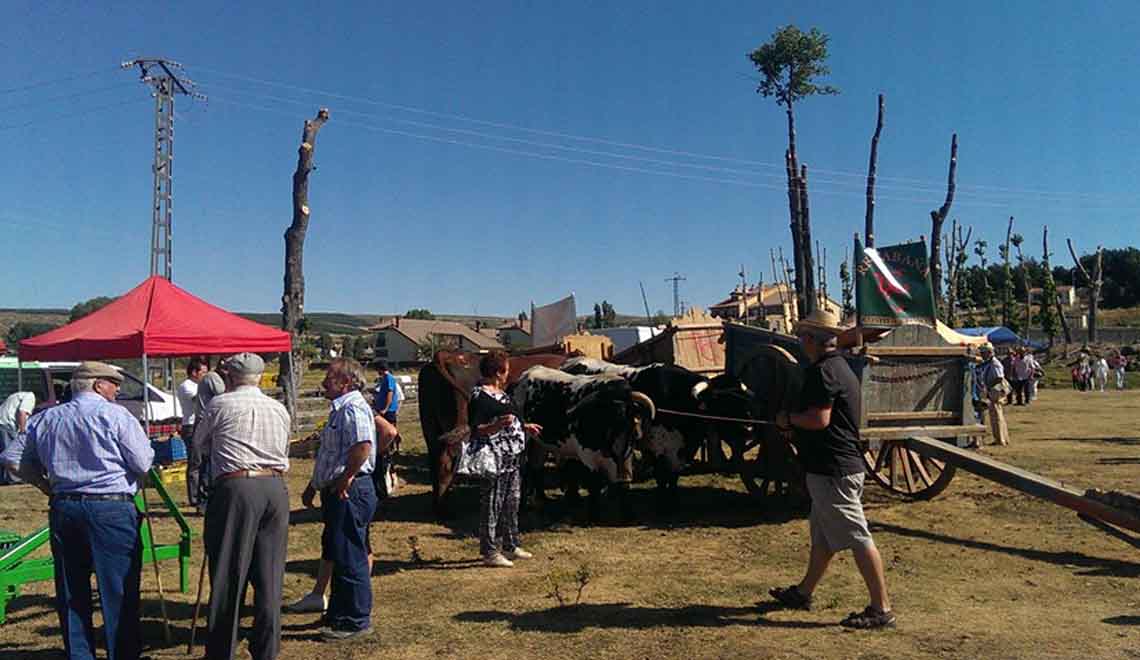 feria-santiago-navarredondadegredos-carnedeavila