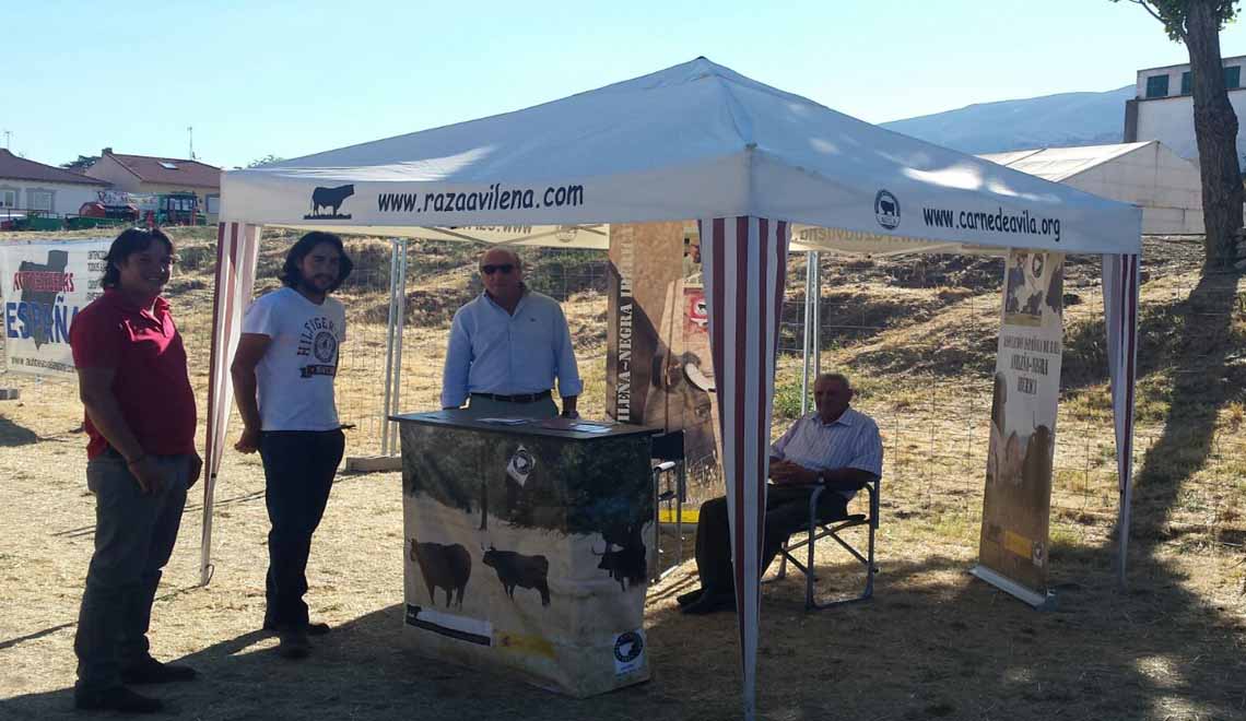 feria-ganado-piedrahita-carnedeavila