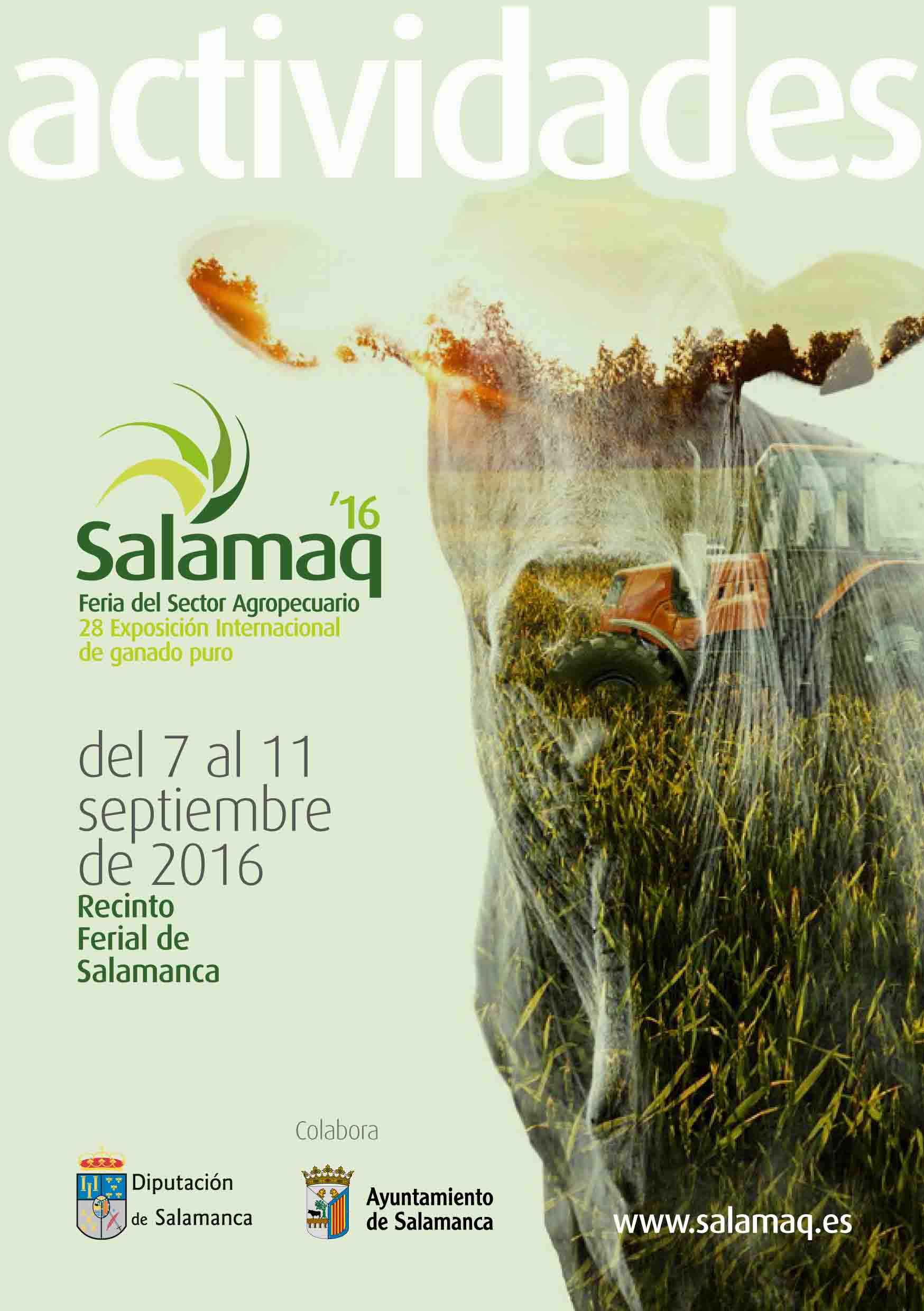 actividades-salamaq-2016