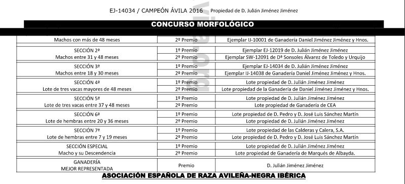 concurso-morfologico-concursosubasta-avileno