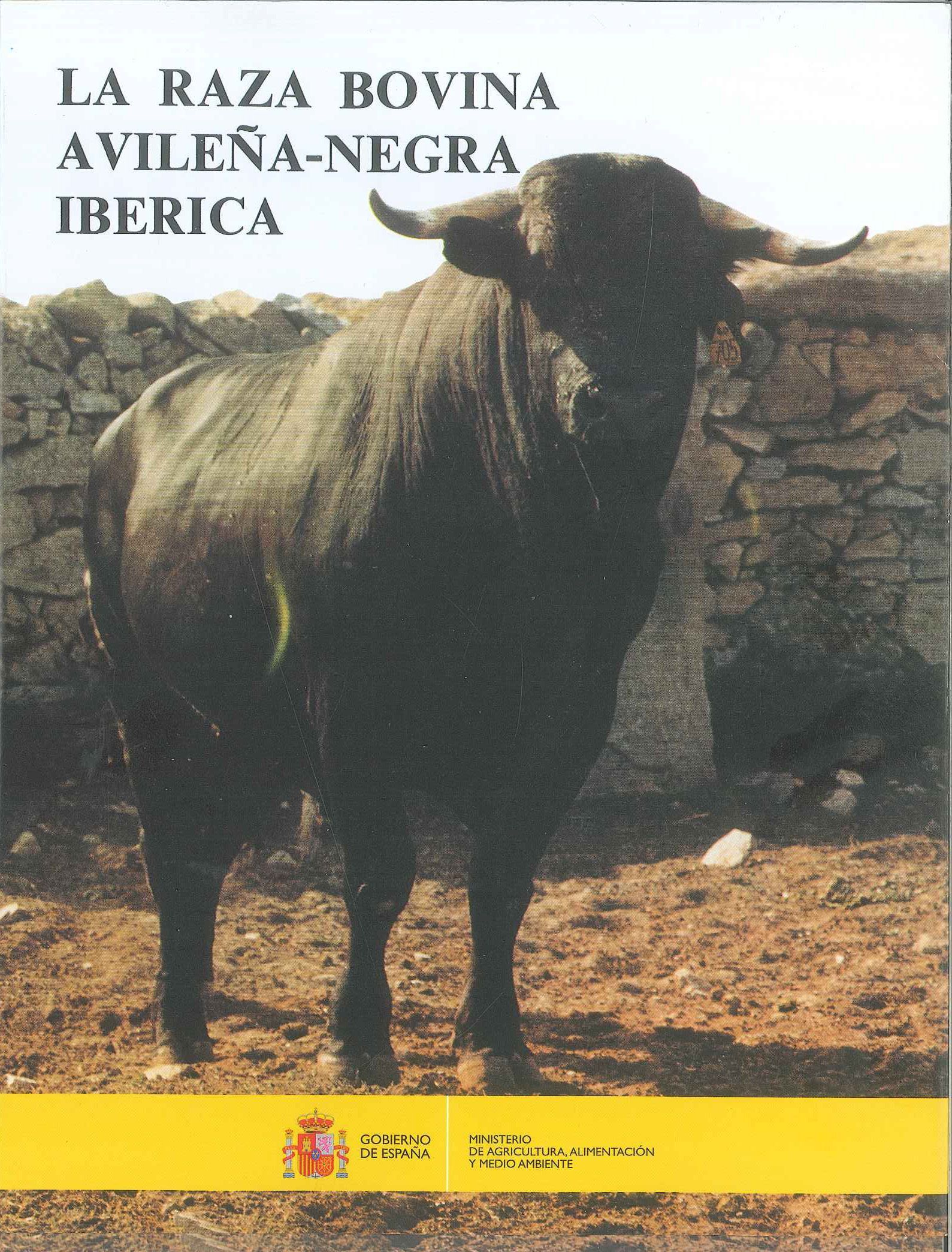 portada_libro-xl