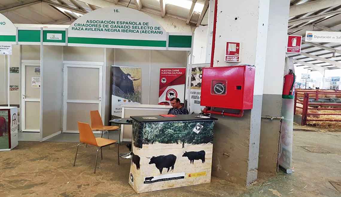 stand-carnedeavila-feriasalamaq2016