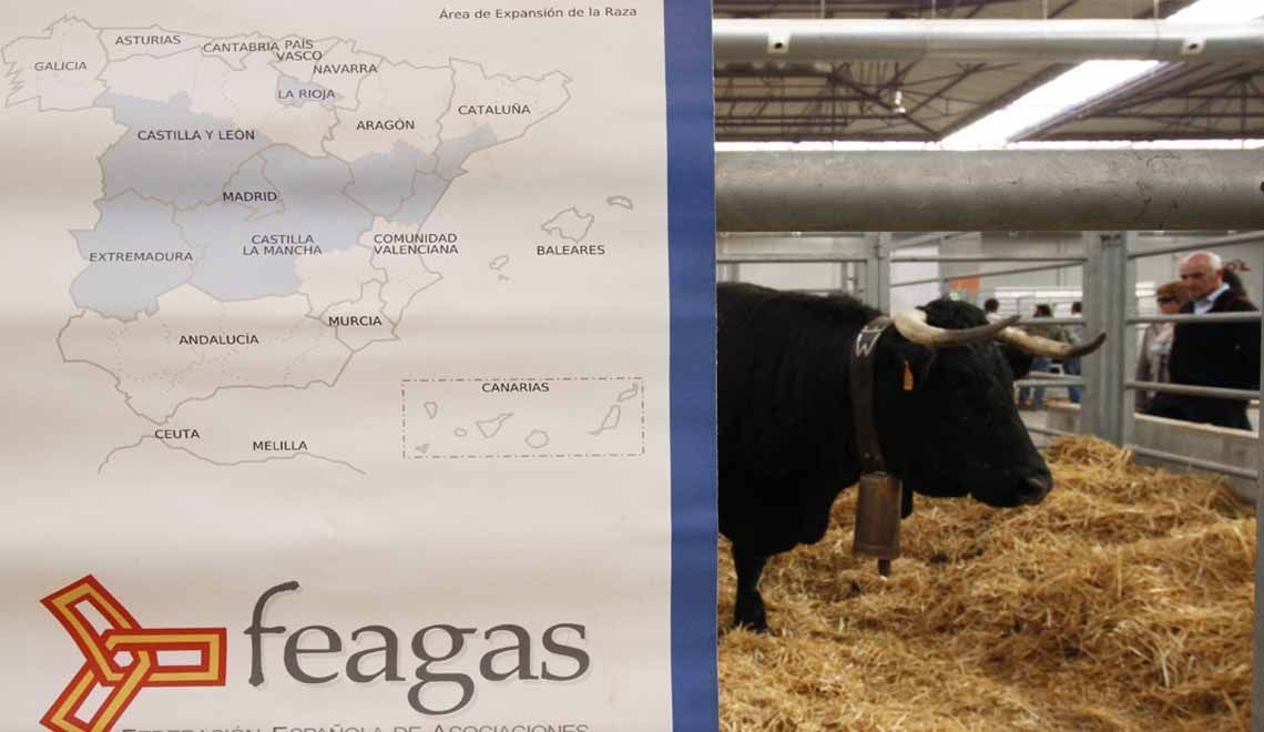 feria_figan_zaragoza
