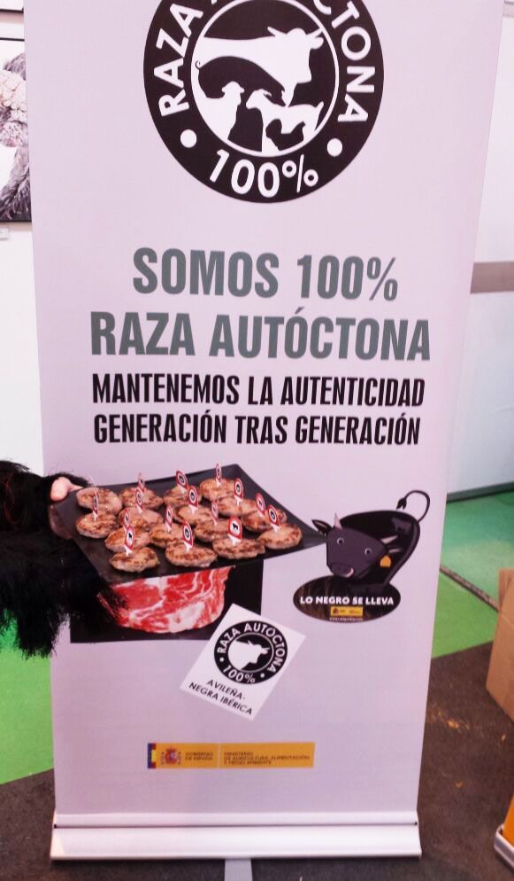 hamburguesas_avileño_figan_zaragoza