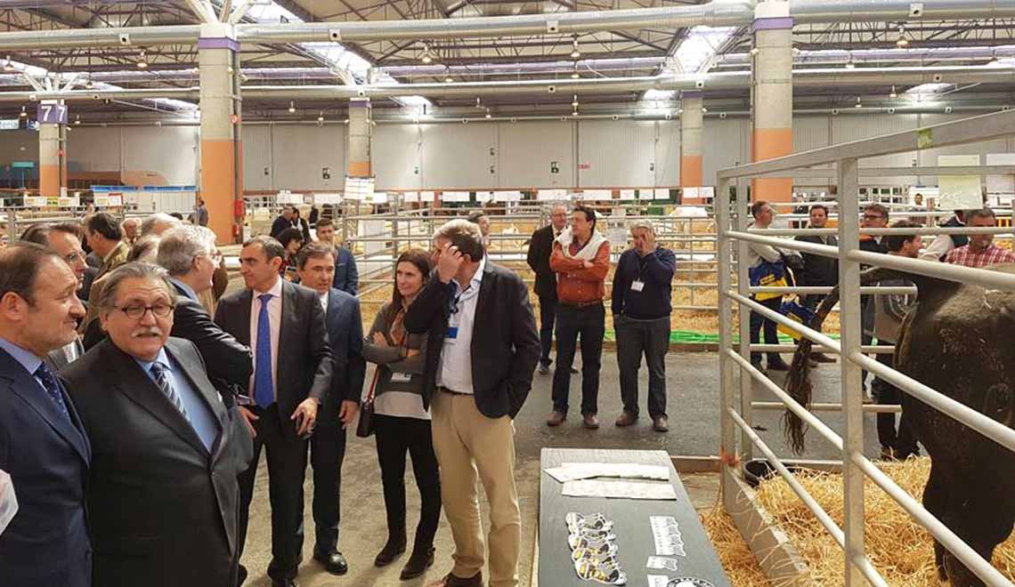 inauguracion_figan_zaragoza