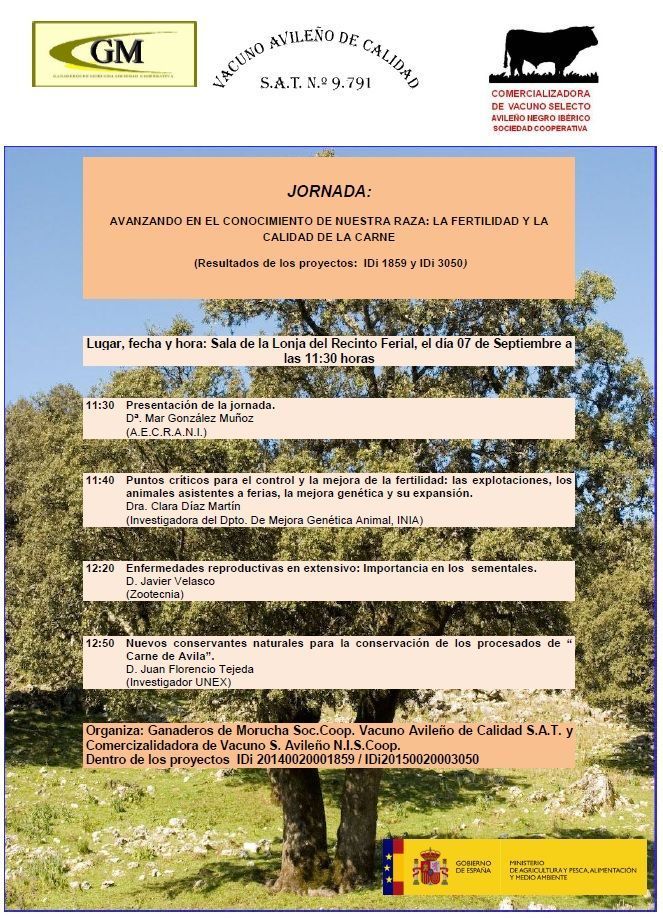 jornadas Salamaq 2017